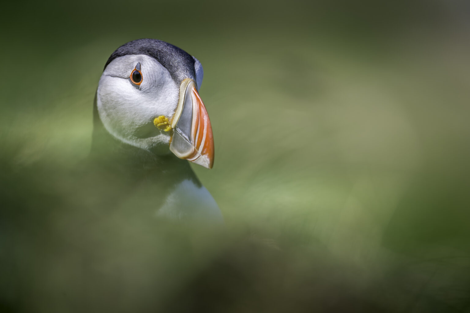 faure.photographie87@gmail.com