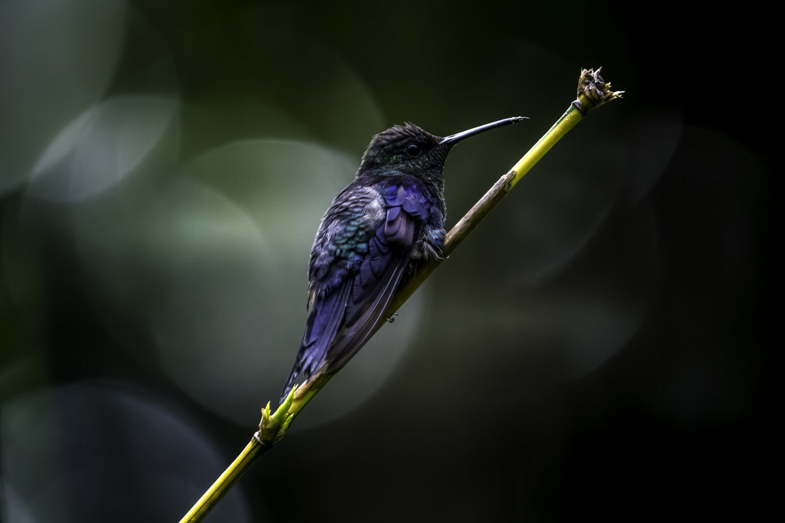 faure.emmanuel87@icloud.com