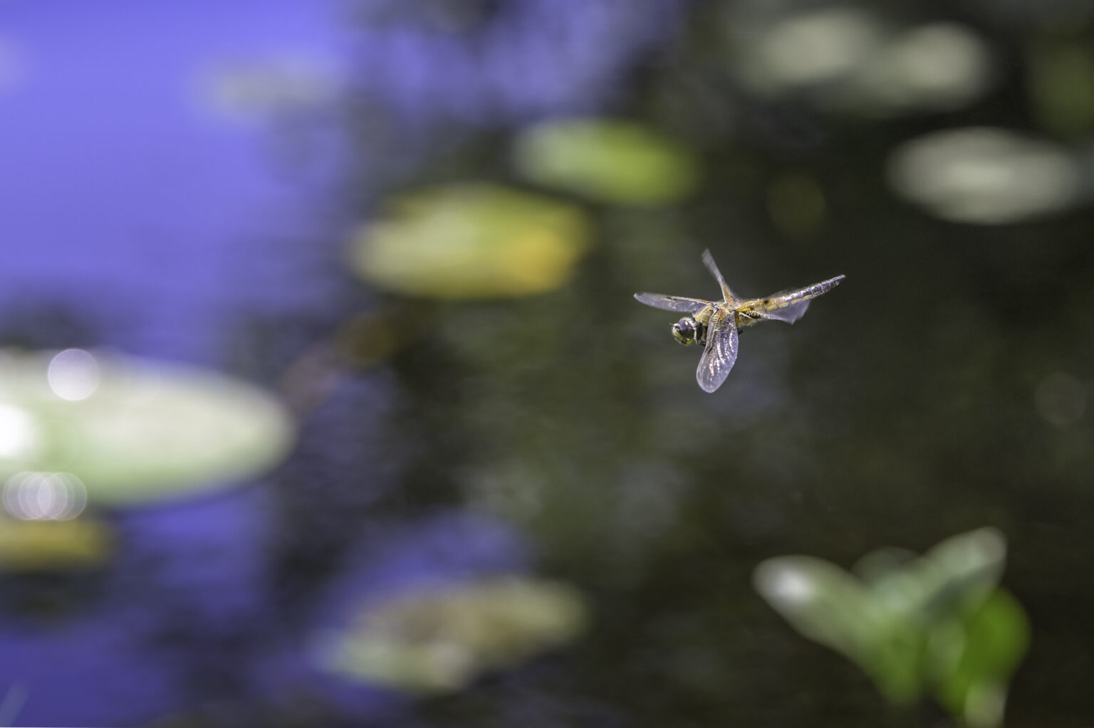 faure.emmanuel87@icloud.com